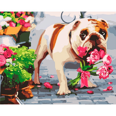 Картина за номерами Джентельмен 953947 40x50 см Santi