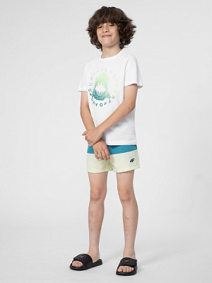 Шорты 4F 4FJSS23UBDSM019-32S р. 122-128 разноцветный