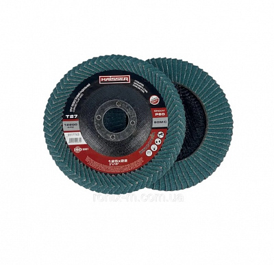 Круг пелюстковий Haisser HAISSER 125 мм P40 149629