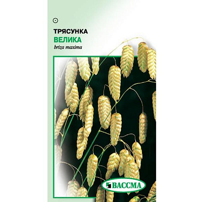 Насіння Квіти Трясунка велика 0.5 г