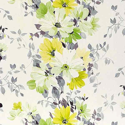 Эдем Статус 907-08 1.06х10.05 м