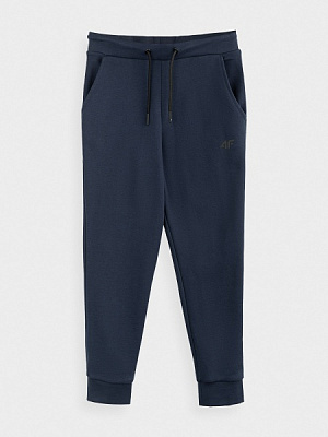 Брюки 4F NOSDJ-JSPMD300-31S р. 134 серый