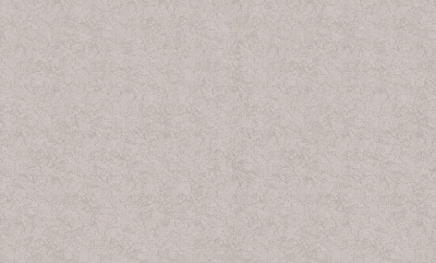 Обои виниловые на флизелиновой основе Bravo 81115BR04 1,06x10,05 м