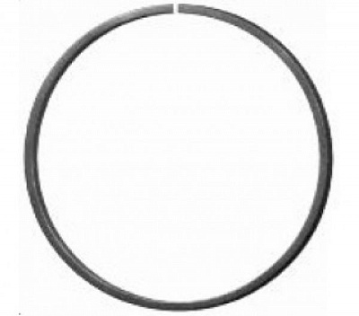 Кольцо Радуга-N d100 мм 171/12х6