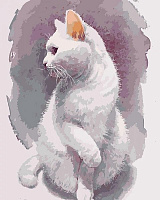 Картина по номерам Изящный кот Идейка 