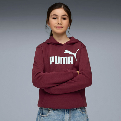 Джемпер Puma ESS No. 1 Logo Hoodie FL G 68489696 бордовий