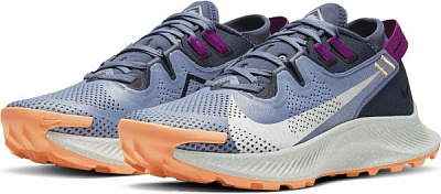 Кроссовки Nike Nike Pegasus Trail 2 CK4309-401 р.US 8,5 голубой