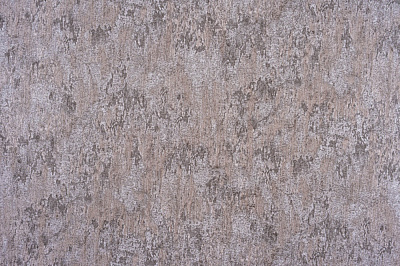 Шпалери вінілові на паперовій основі Слов'янські шпалери Le Grand gold Пір'їнка 4605-10 1,06x10,05 м