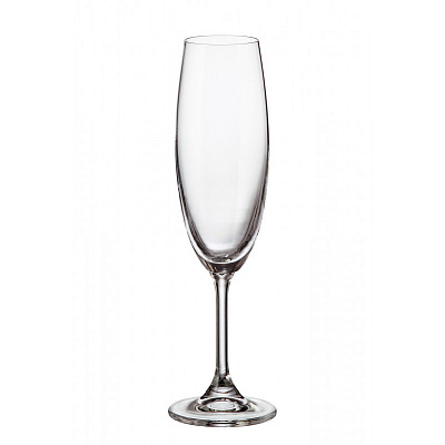 Набор бокалов для шампанского Bohemia Sylvia b4S415 220 мл 2 шт.