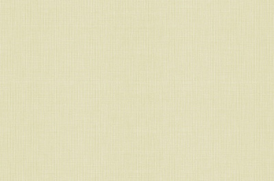 Шпалери вінілові на флізеліновій основі MEGAPOLIS 9020-01 1,06x10,05 м