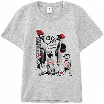 Футболка для мальчиков Роза р.128 меланж 2101061 