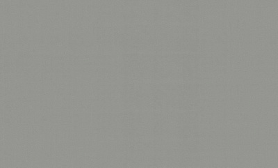 Шпалери вінілові на флізеліновій основі WallCOLOR W 150 C 07 1,06x10,05 м