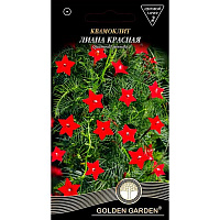 Насіння Golden Garden квамокліт Ліана червона 0,5 г
