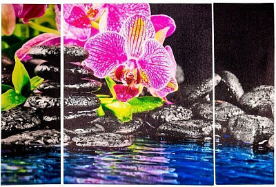 Картина модульная 3 части Орхидея 90x60 см Eclipse МК037 