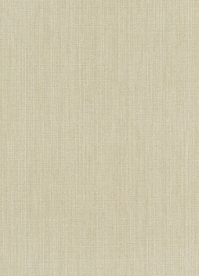 Шпалери вінілові на флізеліновій основі Erismann Paradisio 6309-02 0,53x10,05 м