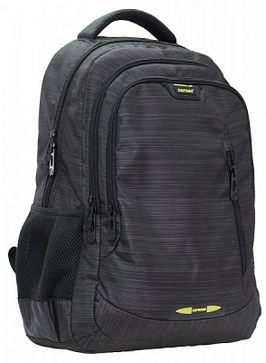 Ранец школьный Safari 2 отделения 21-193L