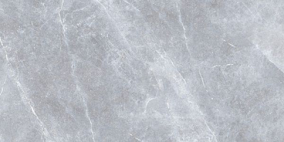 Плитка Golden Tile Space Stone сірий 5V29П0 60х120