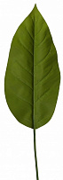 Гілочка декоративна Spathiphyllum (DW-33) Engard