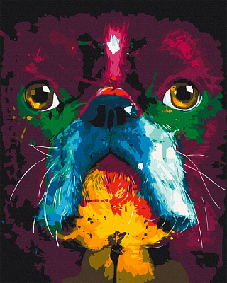 Картина по номерам Французский бульдог 11628-AC 38х50 см ArtCraft 