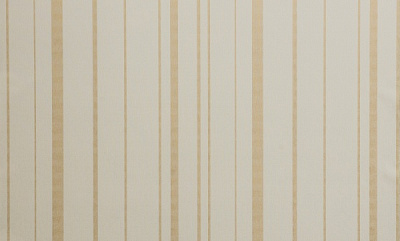 Шпалери вінілові на флізеліновій основі DINASTIA 800DN21 1,06x10,05 м