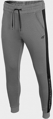 Брюки 4F D4Z20-SPMD202-22S р. S темно-серый