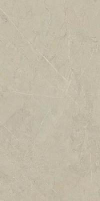 Плитка INTER GRES Reliable коричневый светлый 120x60 03 031 