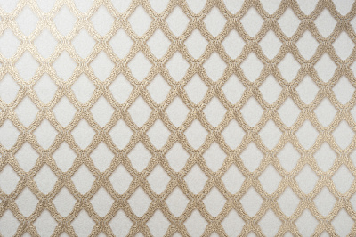 Шпалери зі спіненого вінілу Vinil Шарлотта ДХV-1197/2 1,06x10,05 м