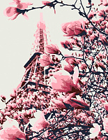 Набір, техніка акриловий живопис за номерами Магнолії в Парижі 35х45 см Rosa Start 