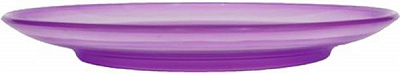 Подставка Омела Орхидея круглый прозрачный фиолетовый 