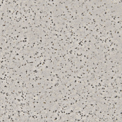 Жидкие обои EcoWallPaper 133 1 кг 