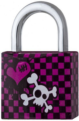 Замок навісний TOKOZ Emo 40 Tk1 M відкритий (амбарний)