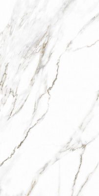 Плитка Allore Group Paladio White F P R Somat 60x120 см
