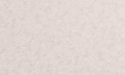 Шпалери вінілові на флізеліновій основі DINASTIA 831DN39 1,06x10,05 м