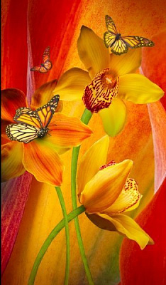 Постер Орхидея и бабочки Posterclub 