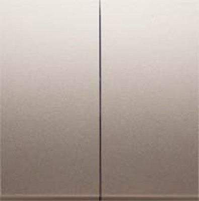 Клавіша вимикача двоклавішний Simon 54 без підсвітки 10 А 250В золотий DKW5/44