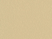 Шпалери вінілові на паперовій основі Слов'янські шпалери Expromt Мільтонія 2 5812-05 0,53x10,05 м 