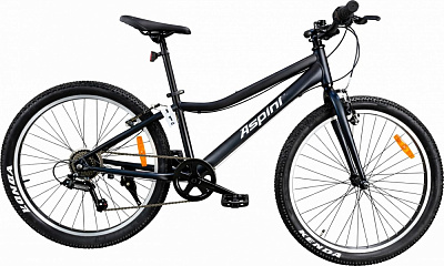 Велосипед Aspini 24