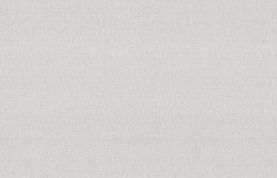 Обои виниловые на флизелиновой основе Vinil Тигго стена ЭШТ 4-1536 1,06x10,05 м 