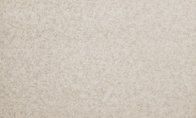 Шпалери вінілові на флізеліновій основі Bravo SIMPLE SP500-05 1,06x10,05 м