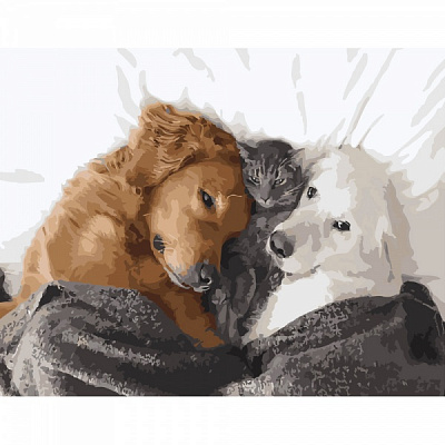 Набор для росписи по номерам Strateg Усатая семейка 40х50 см GS408