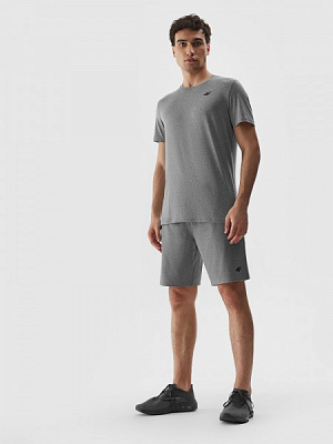 Футболка 4F TSHIRT FNK M449 4FAW23TFTSM449-27M р.M серый