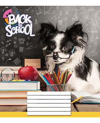 Тетрадь школьная 12 листов в клетку в ассортименте (4820036480111)