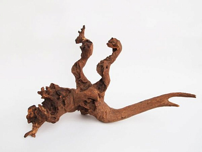 Декор Лотос К Коряга Саваннавуд 20-45 см