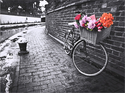Репродукция 60х80 см AF20110827 Bicycles 171C03 RozenfeldArt 
