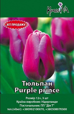 Луковица Тюльпан Purple prince 3 шт. 