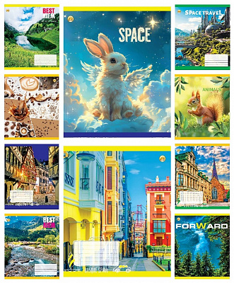 Зошит шкільний 96 аркушів клітинка