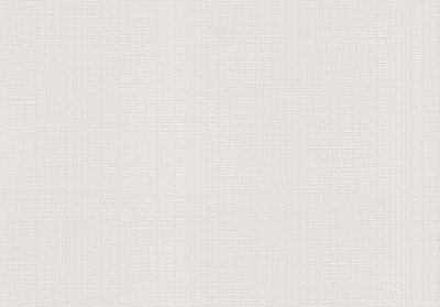 Шпалери вінілові на паперовій основі Vinil Орбіта НКП 2-0771 0,53x15 м