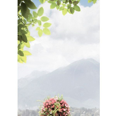 Декор Golden Tile Troyanda Sorrento №1 60Б311 250х330 мм