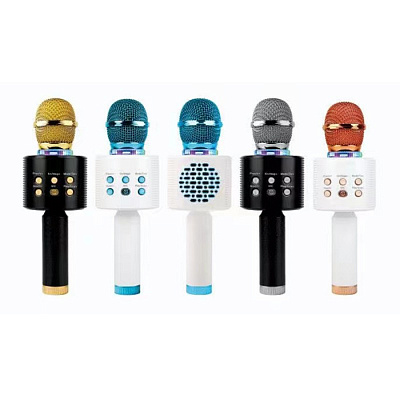 Микрофон Wster V6