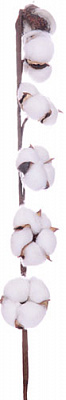 Веточка декоративная Хлопок 70 см 801-005 Lefard